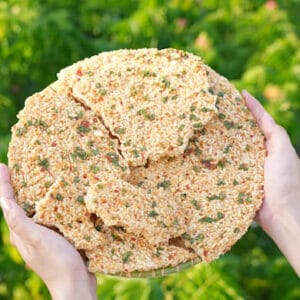 Cơm cháy gạo lứt